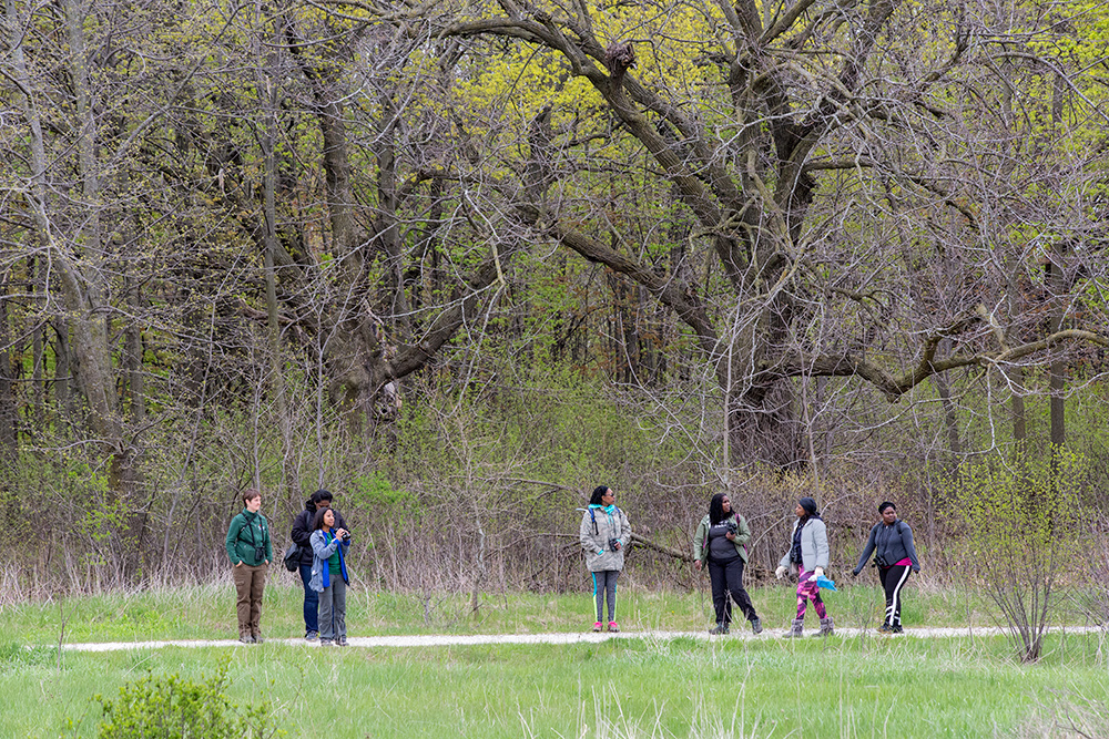 A group of birders at Havenwoods.