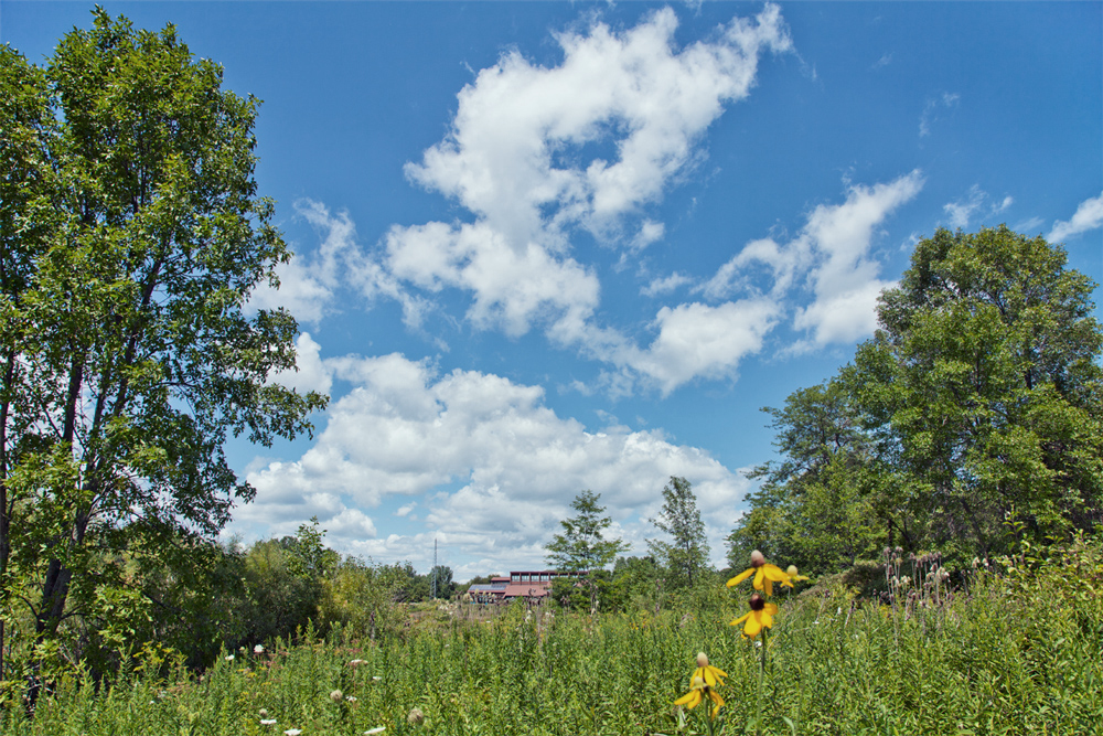 The Education Center at Havenwoods, dwarfed by the landscape!