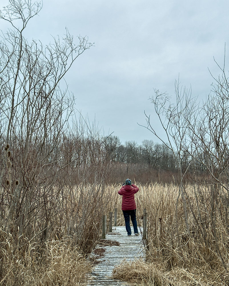 Greeting the invisible sunrise over the wetland.