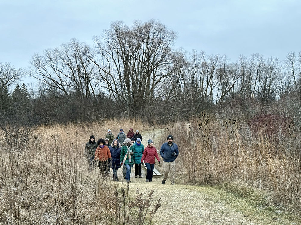 Hikers crossing over a grassland.