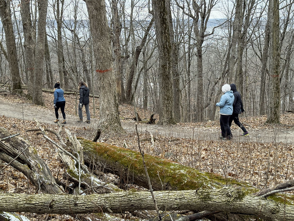 View of the lake through the trees from the Ice Age Trail.