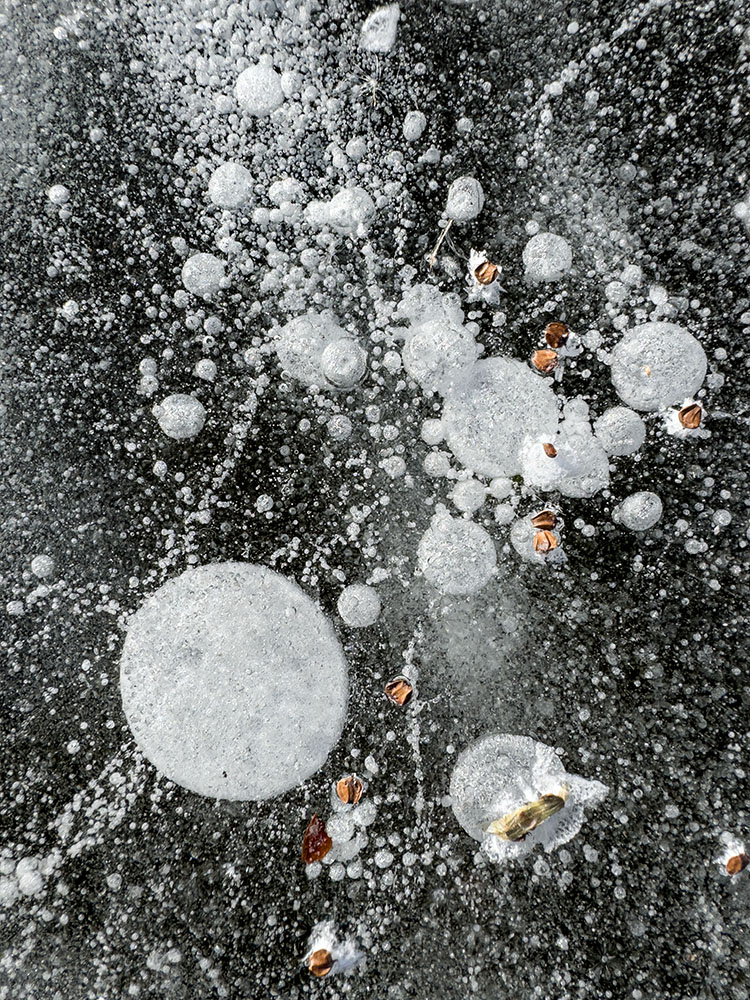 Bubbles frozen in place in the ice create a galaxy-like pattern.