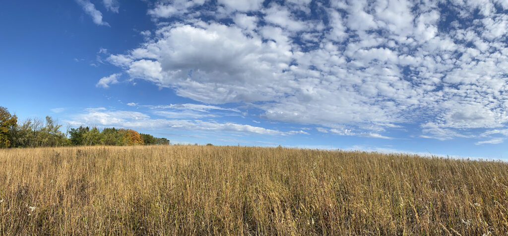 Panoramic view of the hilltop prairie.