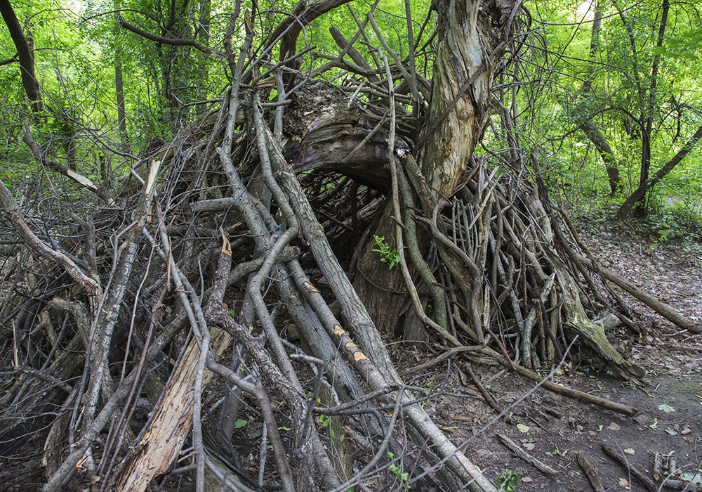 One of the grander of many stick forts I've come across over the years.