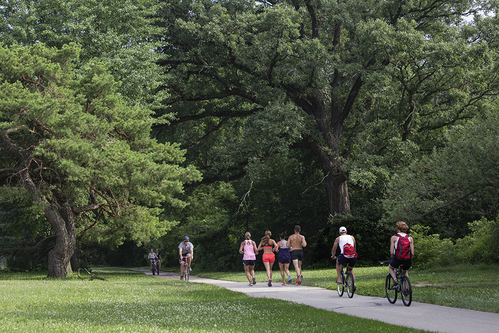 A typical day on the Oak Leaf Trail.