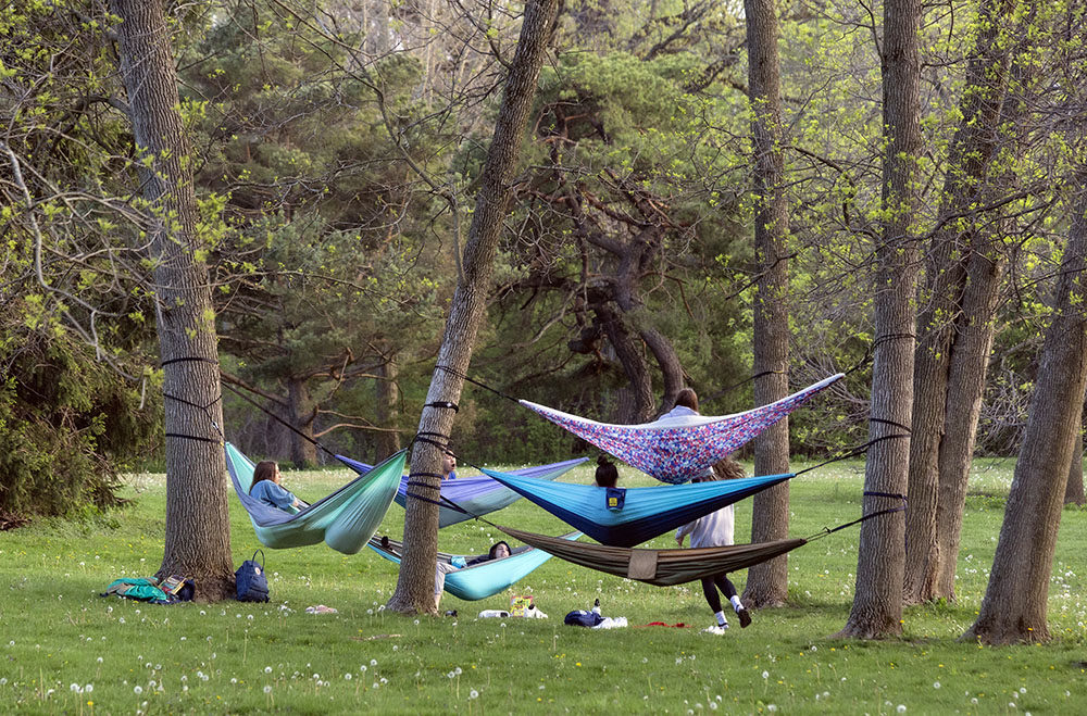 While hammocking in the park began before then, it really took off during the pandemic shutdown in 2020 when I shot this of six hammockers at once. Activities of all kinds throughout the park was consistently higher than normal for the duration of the shutdown.