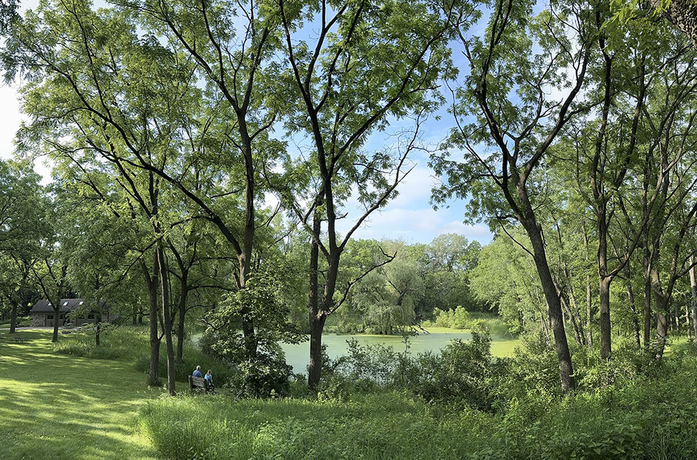 An idyllic moment near the Trekker Lodge at Lapham Peak.