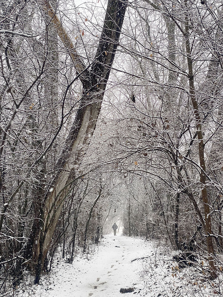 A tunnel-like trail leads to the wild side of Hoyt.