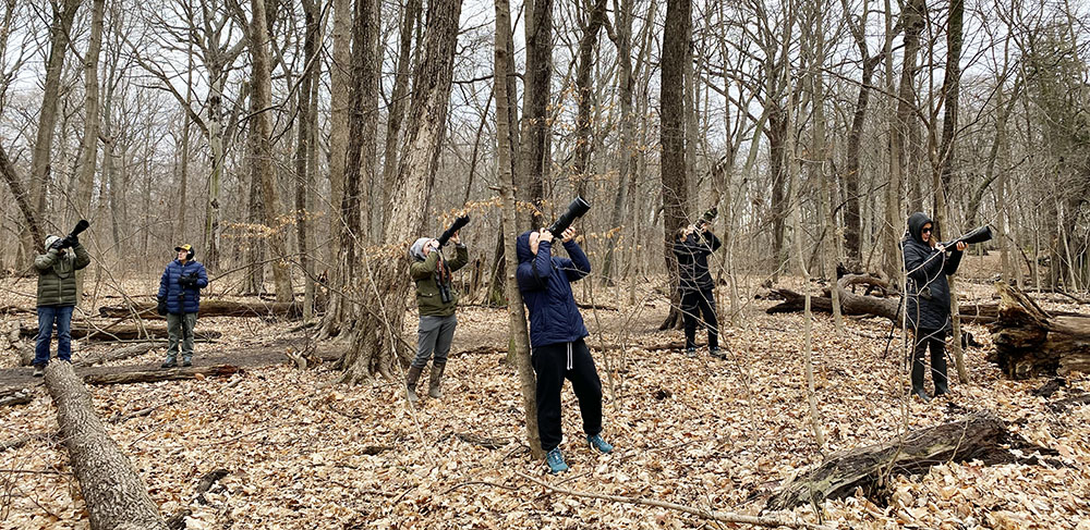 Photographers line up to shoot an owl banding operation in Seminary Woods, Saint Francis.