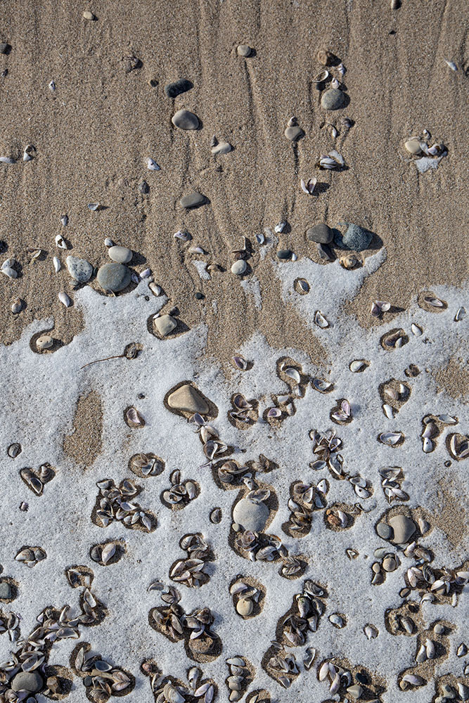 SSSS (Sand Snow Shells Stones). Shorewood Nature Preserve, Shorewood.