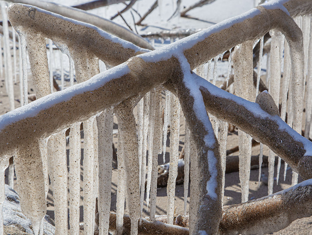 Criss Cross. Shorewood Nature Preserve, Shorewood. 