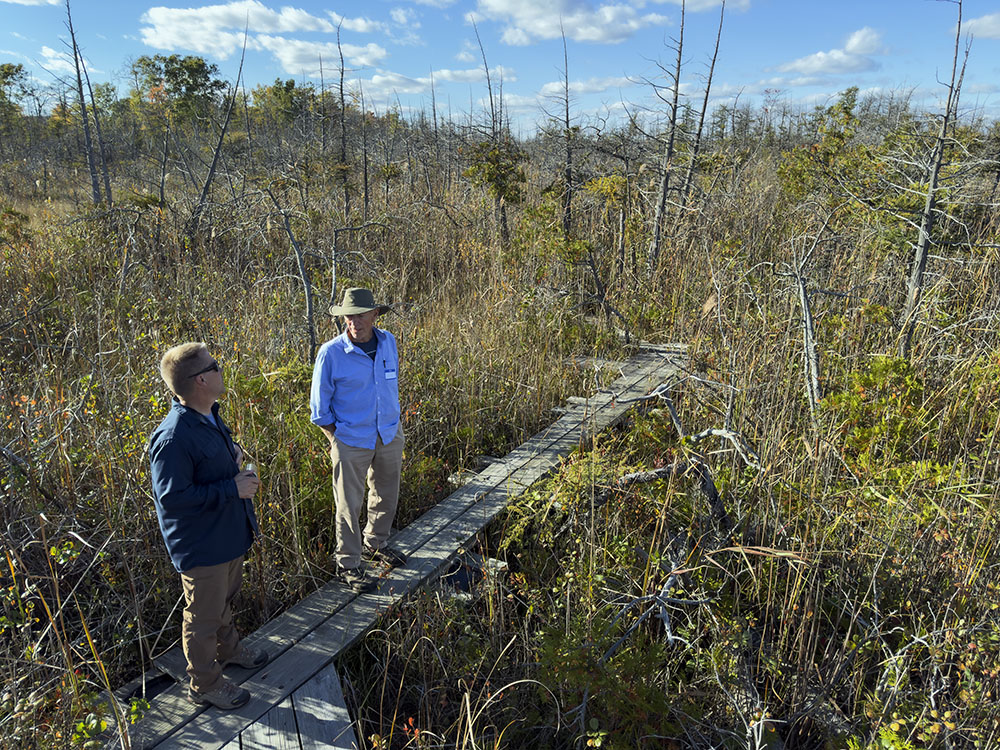 Cedarburg Bog State Natural Area, Ozaukee County.