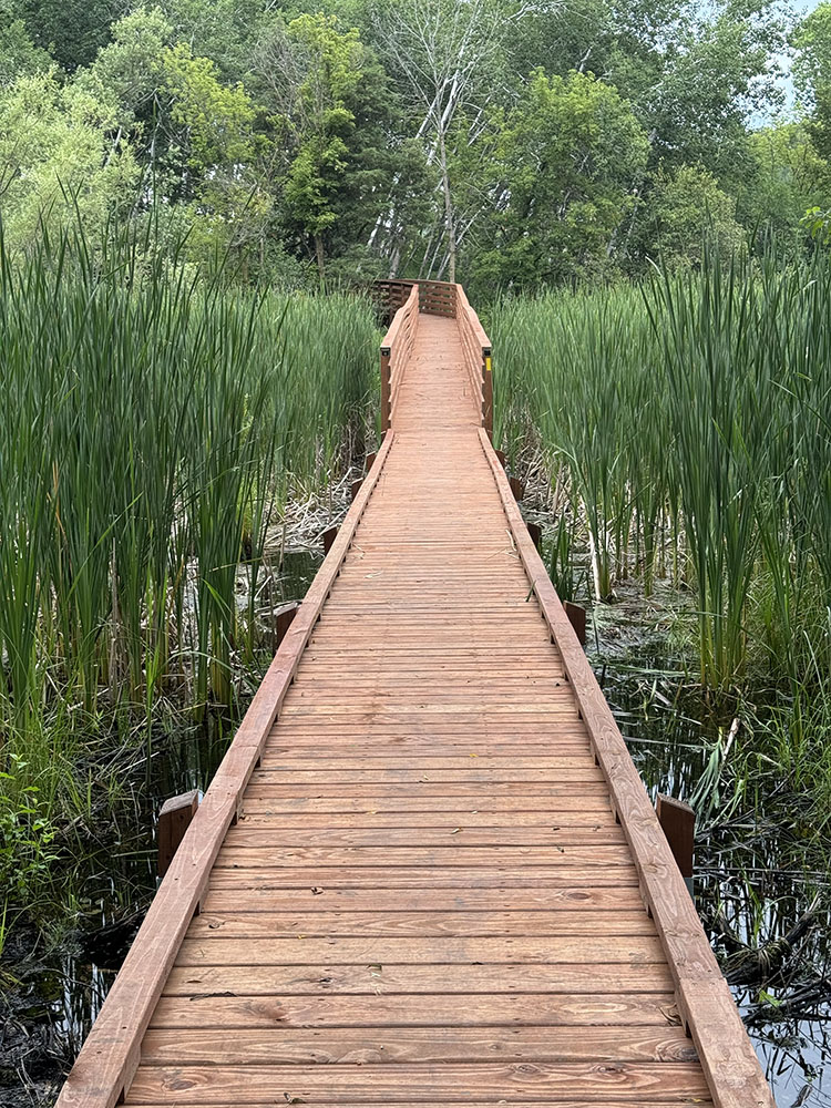 The West Bend Segment of the Ice Age Trail, Washington County.