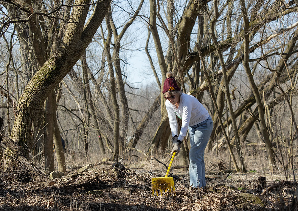A volunteer rakes debris off the new trail.