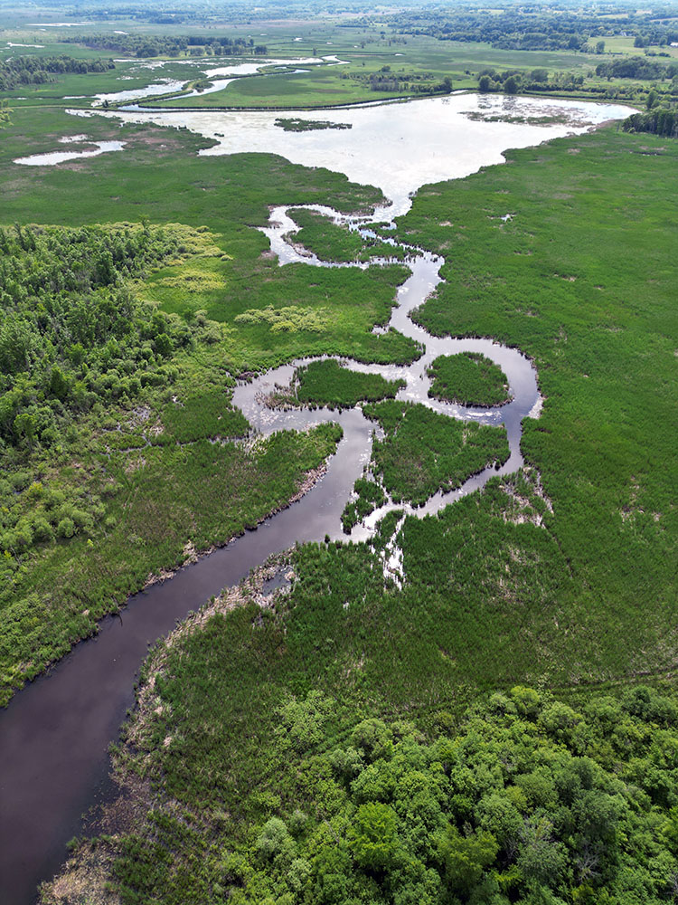 Vernon State Wildlife Area, Waukesha County.