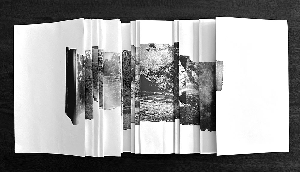 Still Moving Moving Still book.