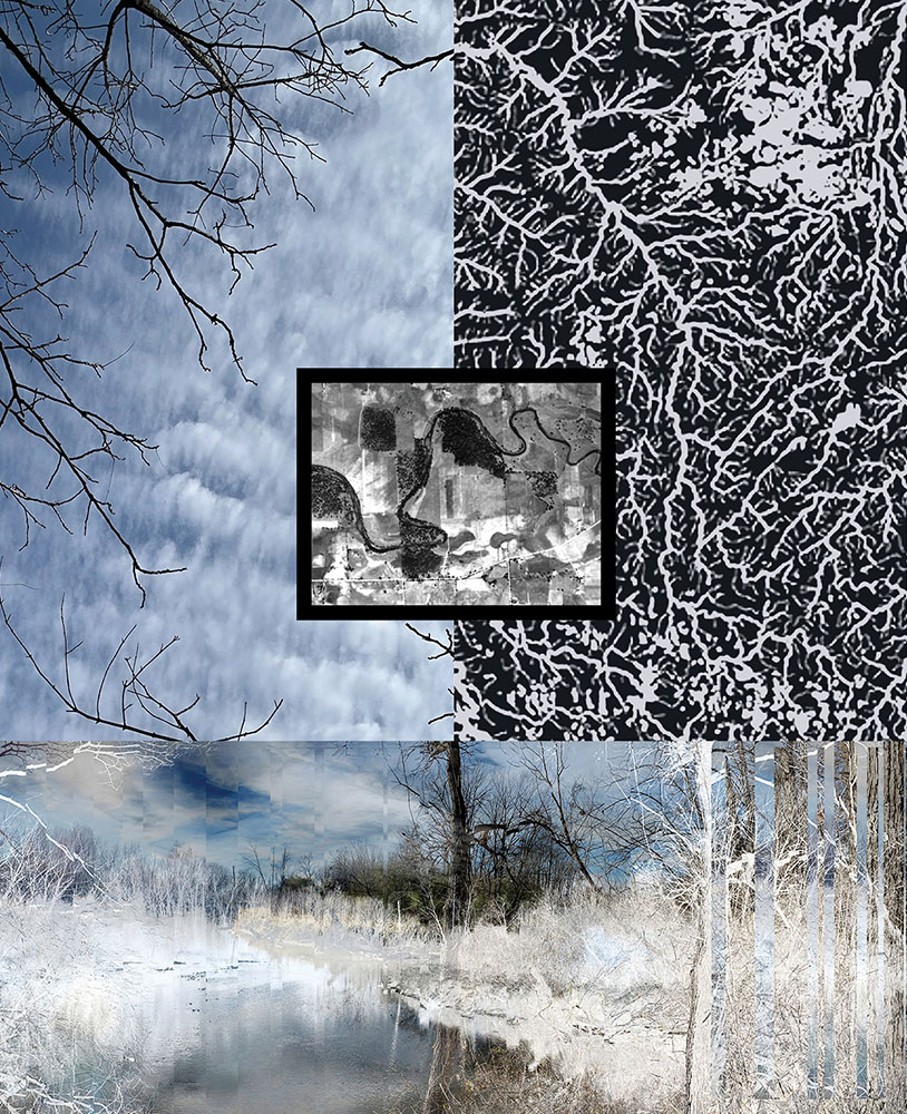 Fellenz Woods 1