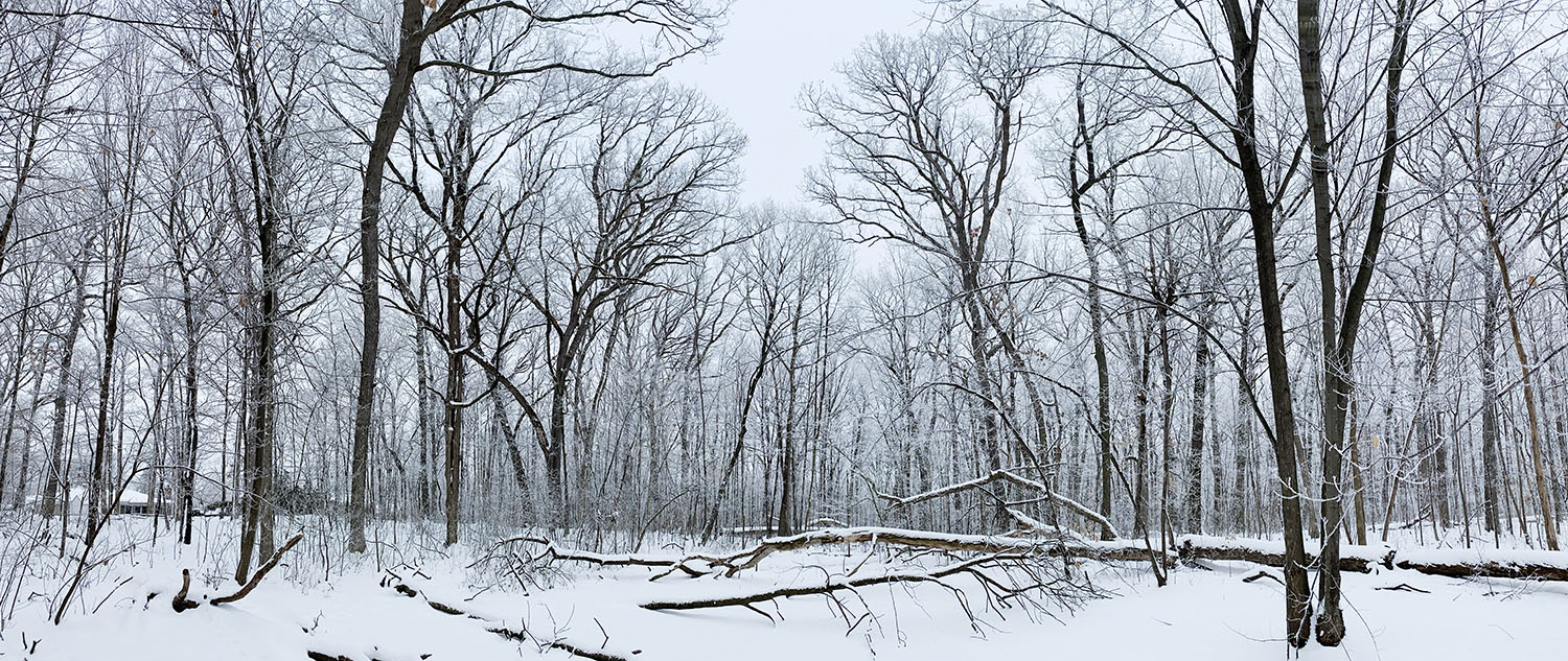 Winter panorama in Grootemaat Nature Preserve