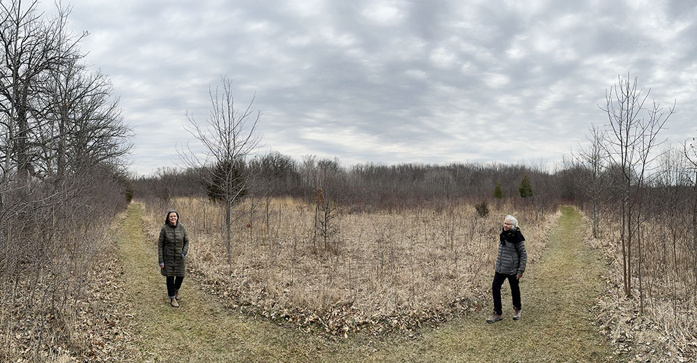 Two paths converging at Fellenz Woods.