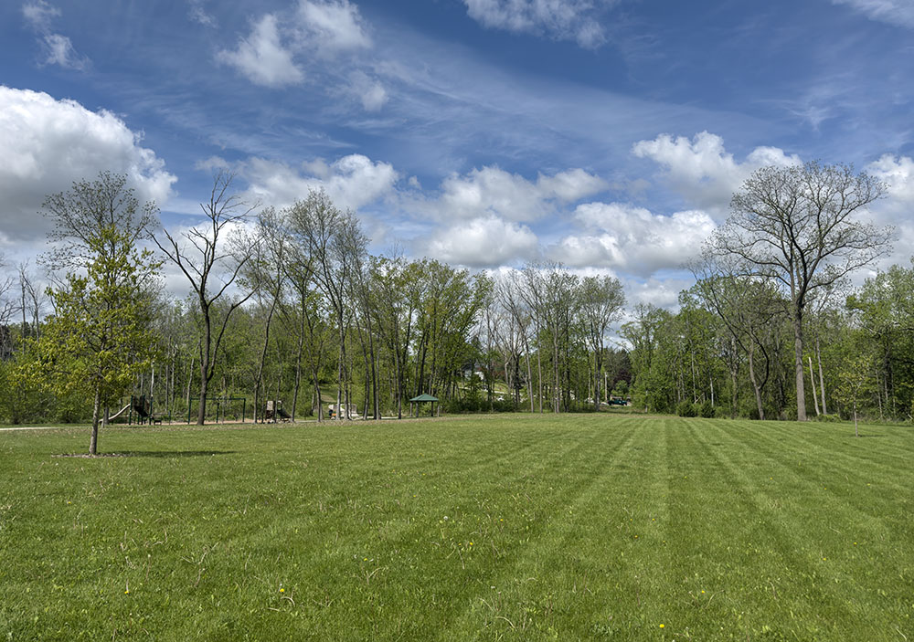 The large open lawn surrounded by mature hardwoods and small wetlands.