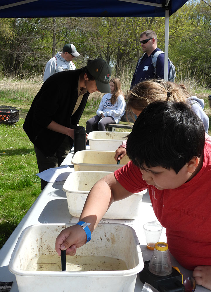 The students scoop out tiny water creatures to observe up close with magnifying lenses.