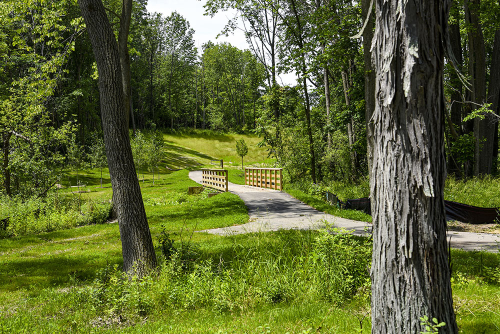View from the playground towards the park entrance. Photo courtesy raSmith.