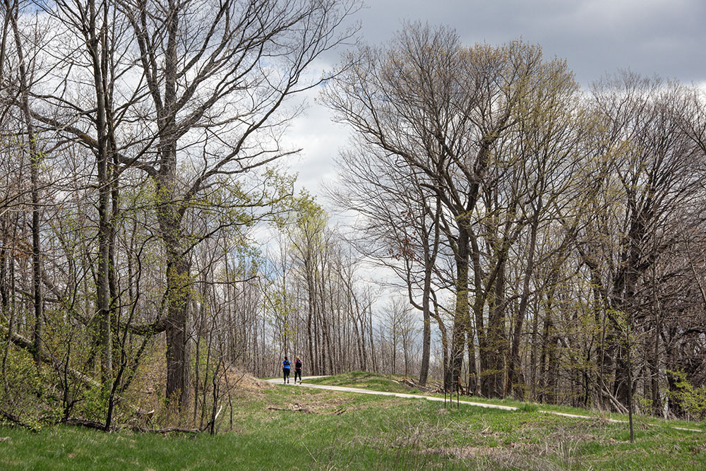A pair of joggers on the trail.