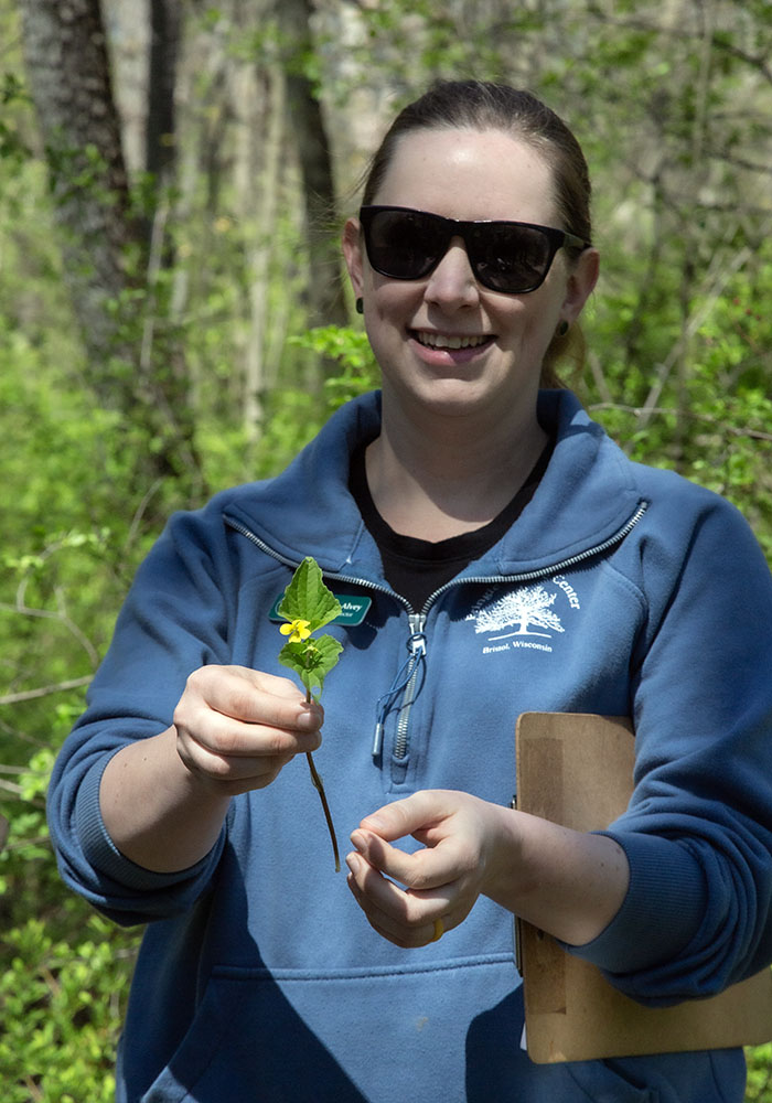 Elizabeth Alvey with a delicate yellow violet.