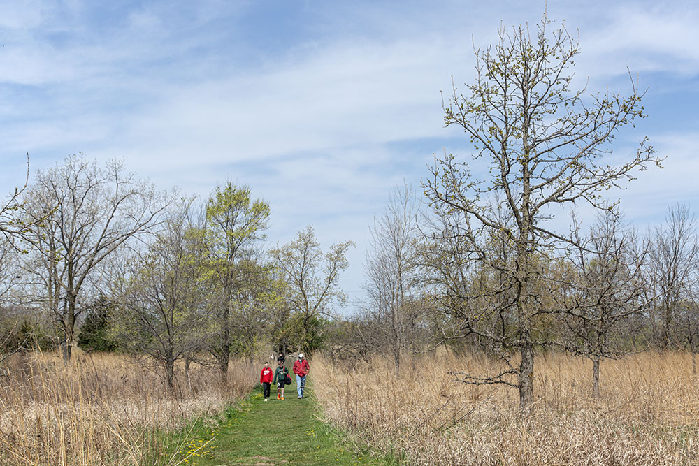 Hiking around the 237 acres of the urban State Forest was also an option.