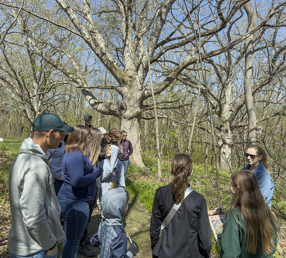 The group pauses to learn about the biodiversity of the woodland.