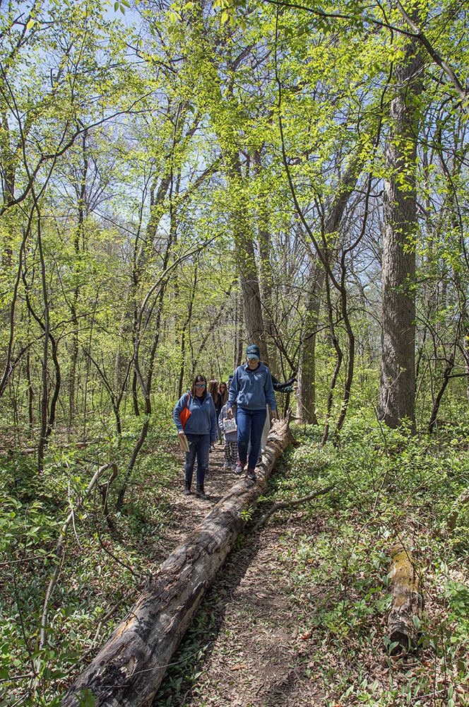A log across the trail provides a moment of levity as nearly everyone in the group tries to walk along it.