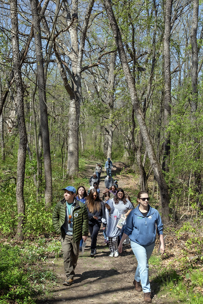Nick Sanchez of Old-Growth Forest Network and Elizabeth Alvey of Pringle Nature Center lead the group on a celebratory hike.