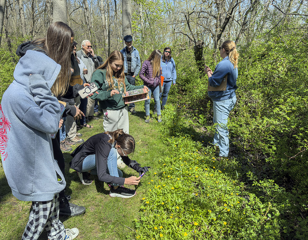The hikers pause to examine tiny yellow buttercup flowers next to the trail.