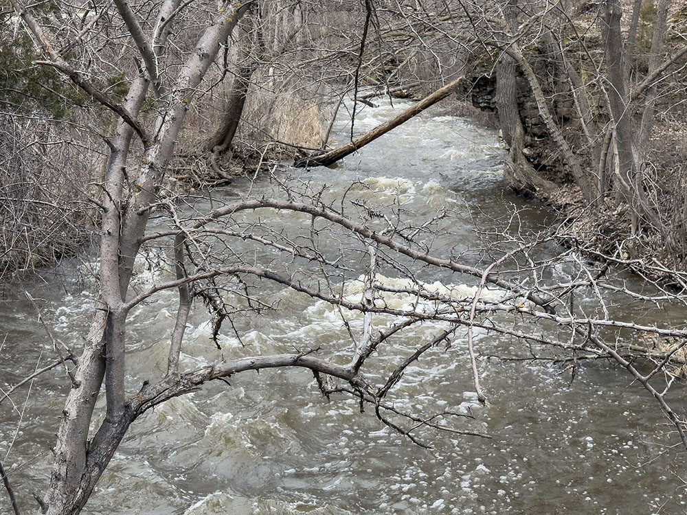 The first thing that April showers bring ... is flooding rivers! This is the Menomonee River in Lime Kiln Park in Menomonee Falls, which is sometimes referred to as the "dells of the Menomonee River" for its rocky outcroppings and narrow gorge.