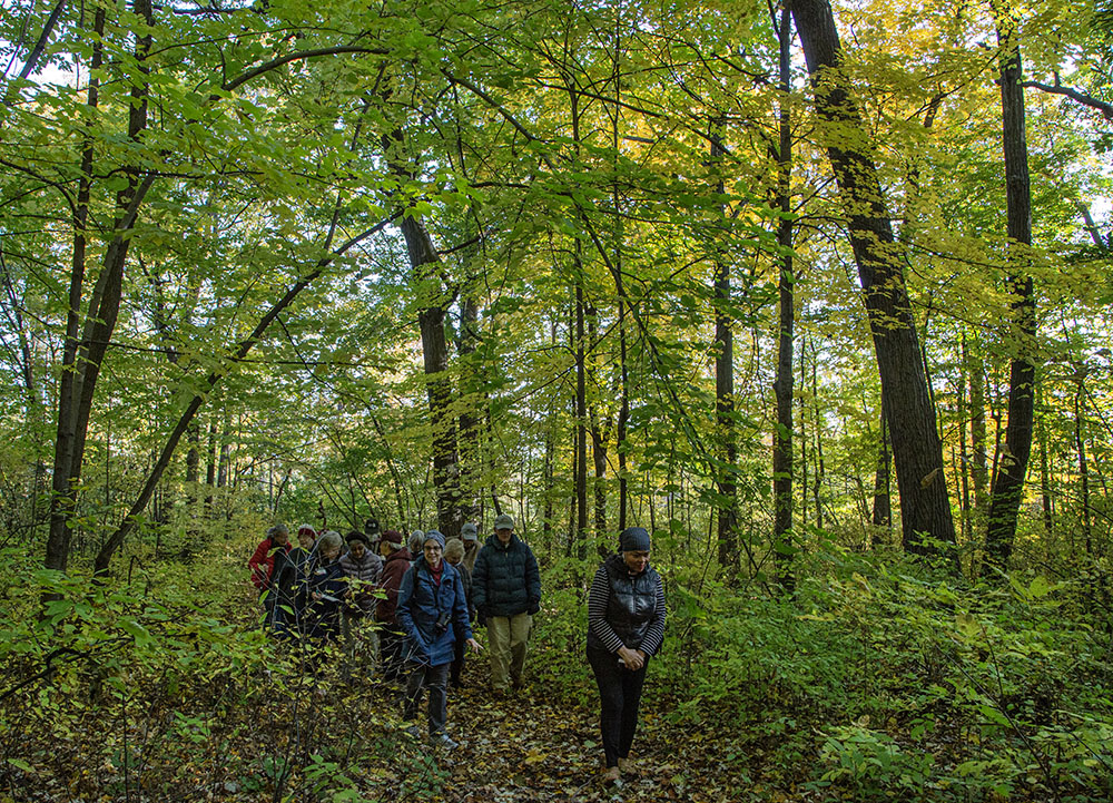 A group of seniors tour the woodland.