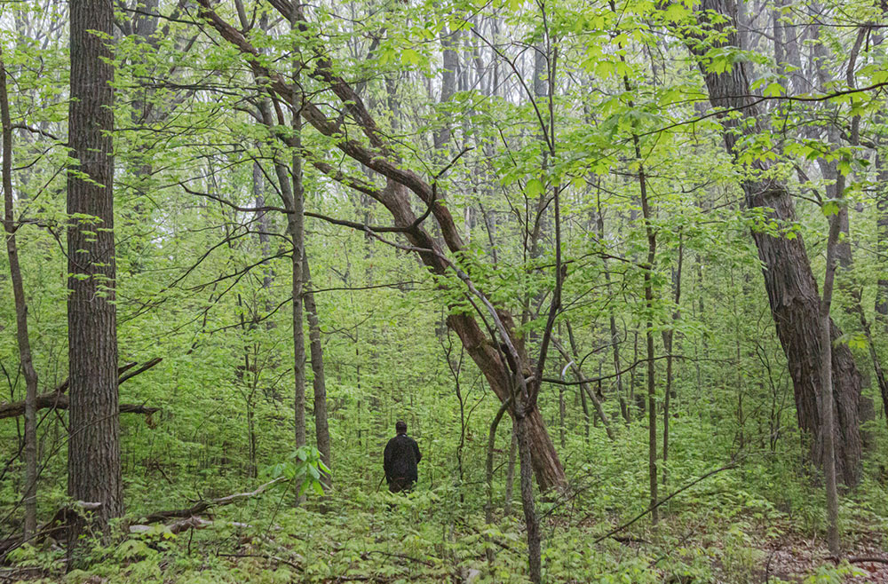 Walking in the wonderland of springtime! Potter's School Forest, a Milwaukee Public Schools property adjacent to Whitnall Park in Hales Corners.