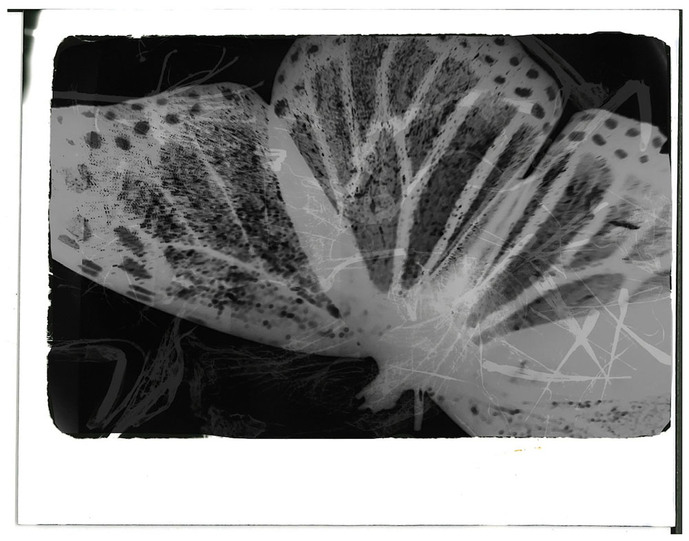 Journey Interrupted, double exposure silver gelatin print, Lake Michigan, 2024