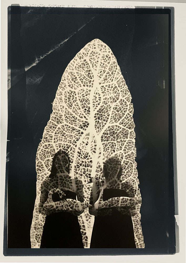 Intergenerational, digital photograph