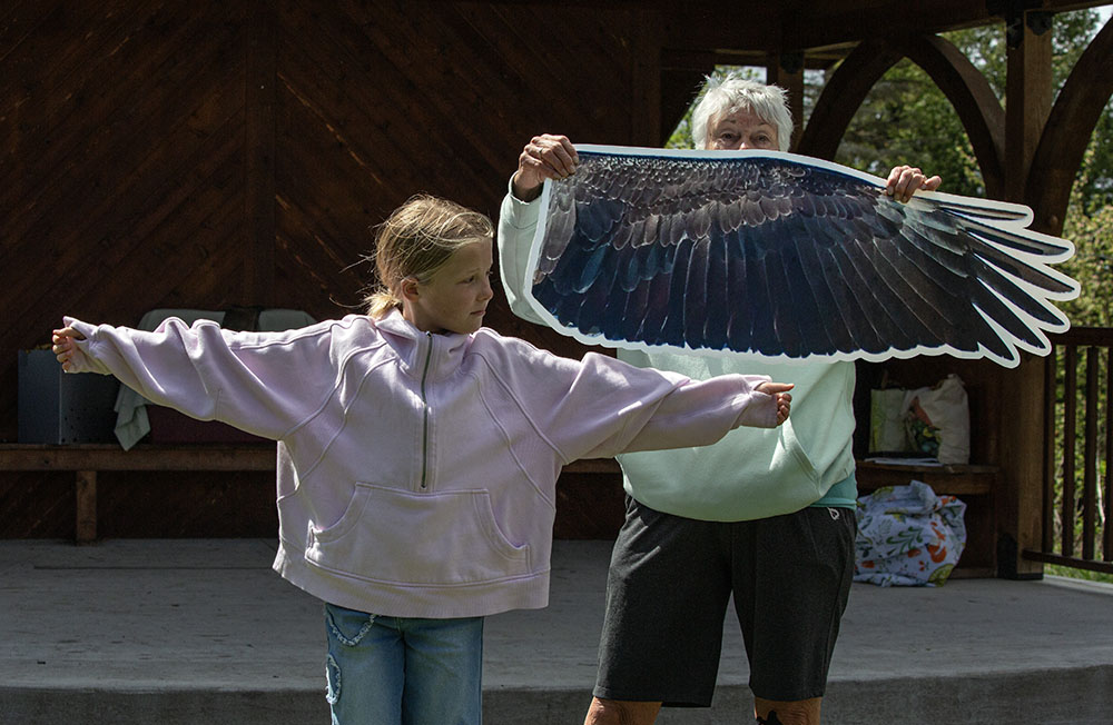 A volunteer from the audience helps Dr. Lord illustrate the size of a bald eagle's wingspan.