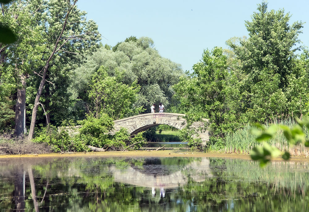 Two young men fishing from the footbridge over the McGovern Park lagoon.