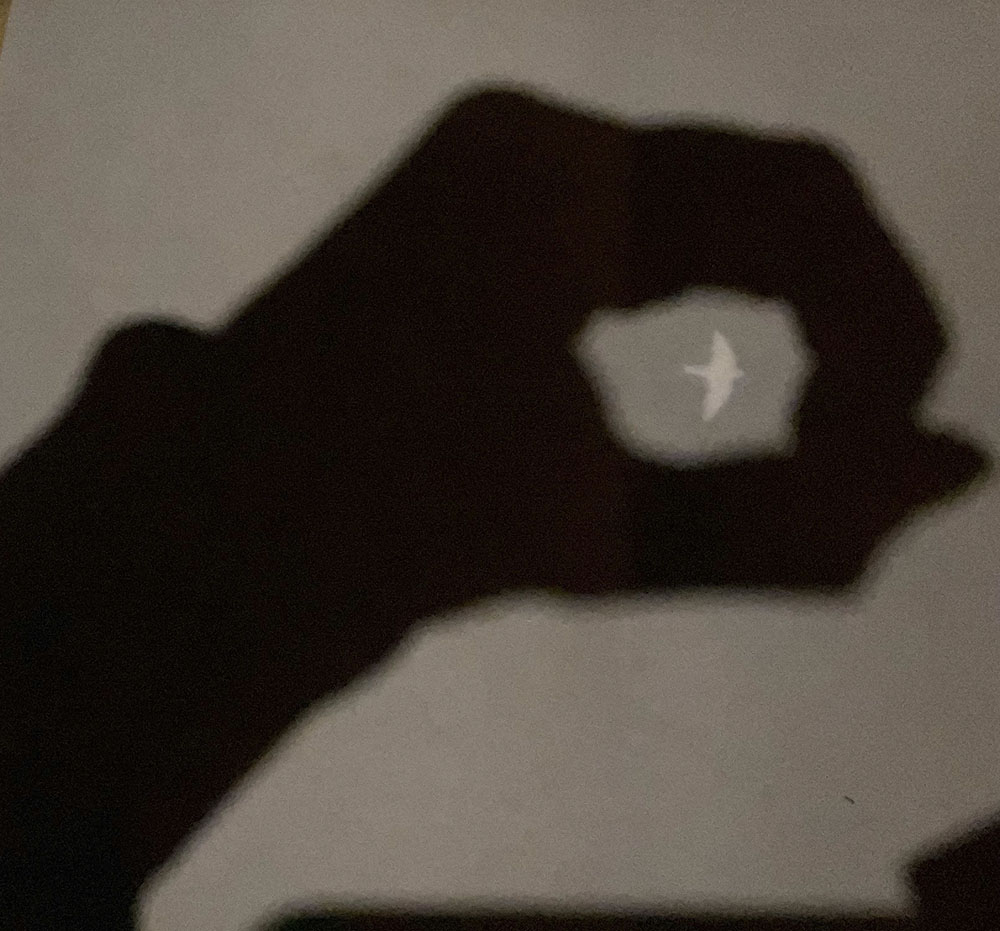 Untitled, digital image