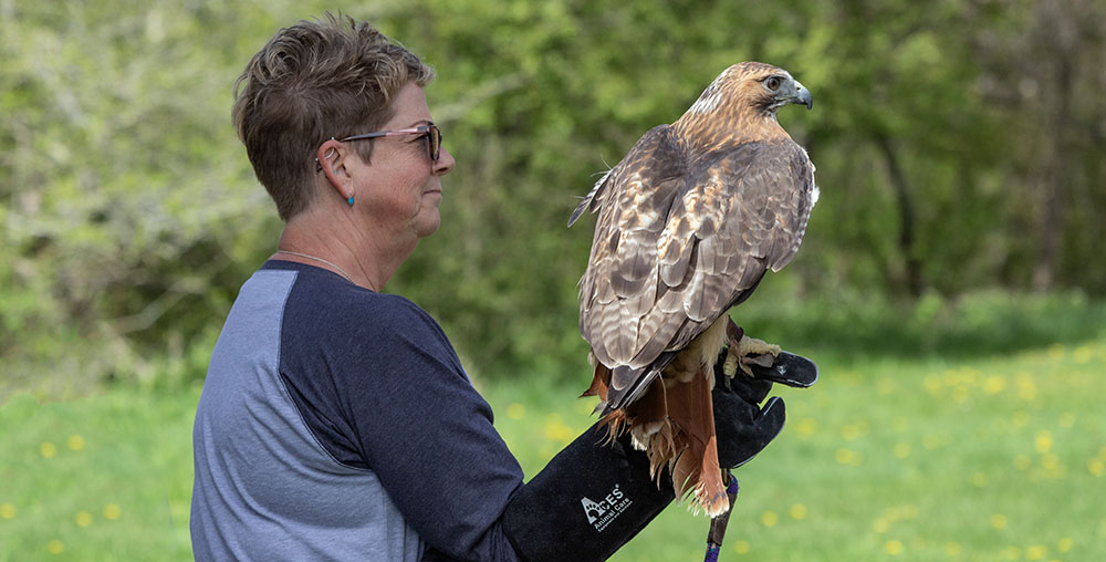 Pine View volunteer Kelli with Amalia the red-tailed hawk