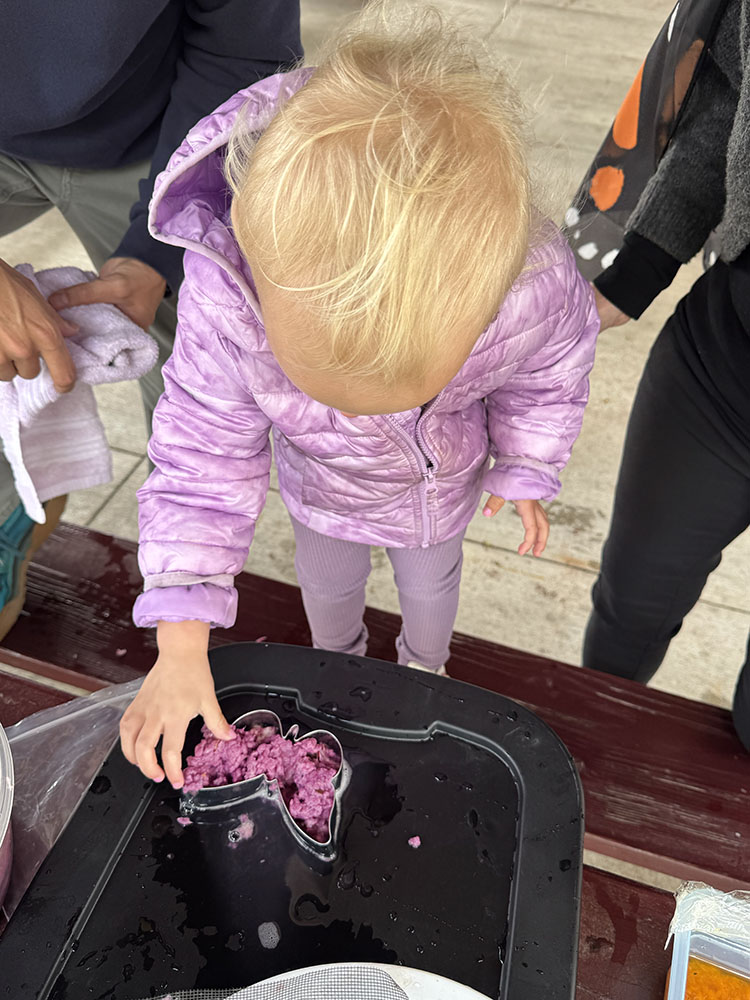Shaping paper pulp embedded with native seeds into a butterfly cookie mold.