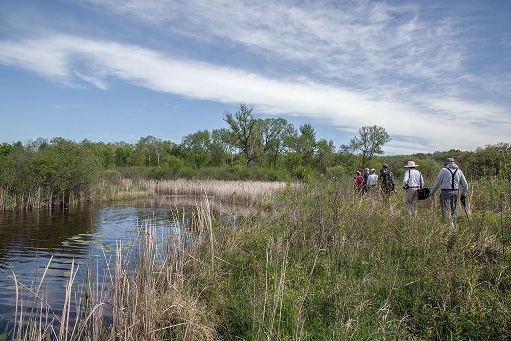 A spur of the trail takes the group alongside the long, narrow pond at the site of the former marl pit.