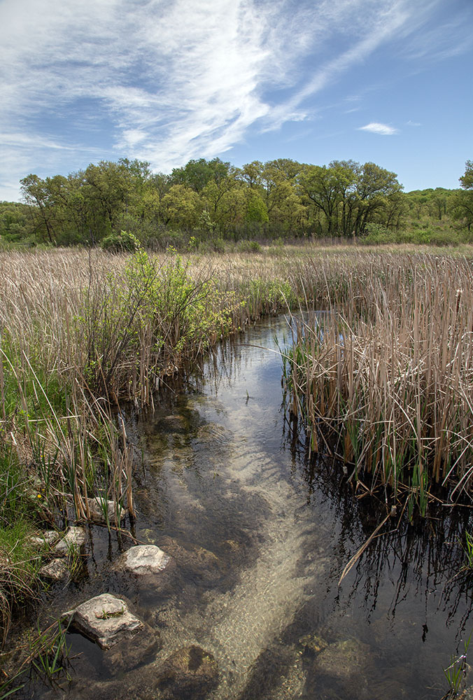 The Scuppernong River.