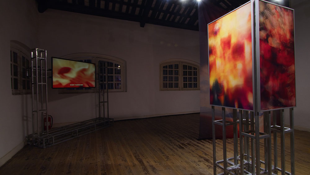 Next of Kin (2024), solo exhibition documentation