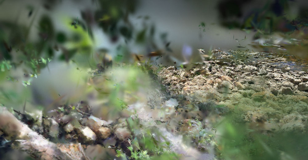 Oak Leaf Trail Study (2025), Work in Progress, 3D scan