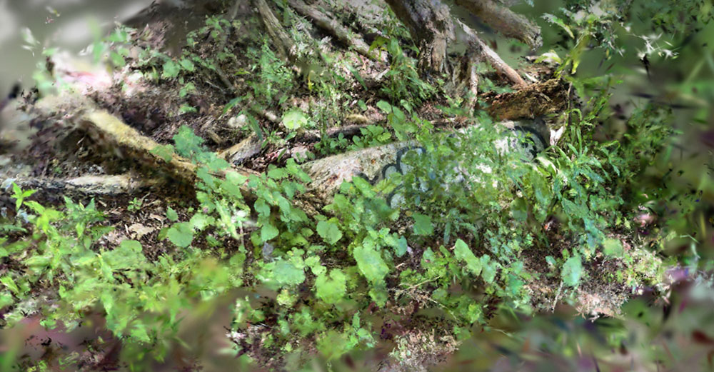 Oak Leaf Trail Study (2025), Work in Progress, 3D scan