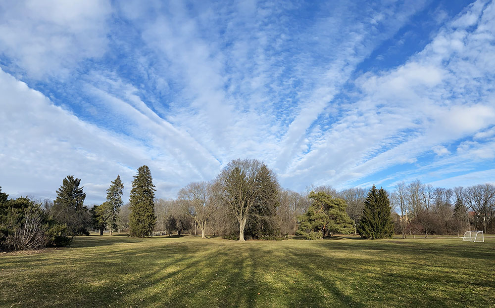 Halleluia! Hoyt Park, Wauwatosa.