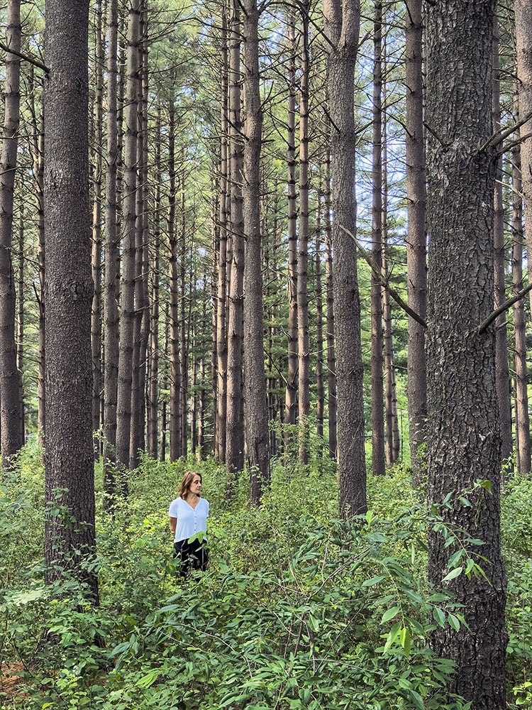 The artist in the pine plantation at Shannon Preserve.